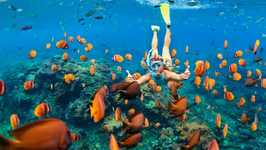 Snorkeling Adventure Maldives Tour